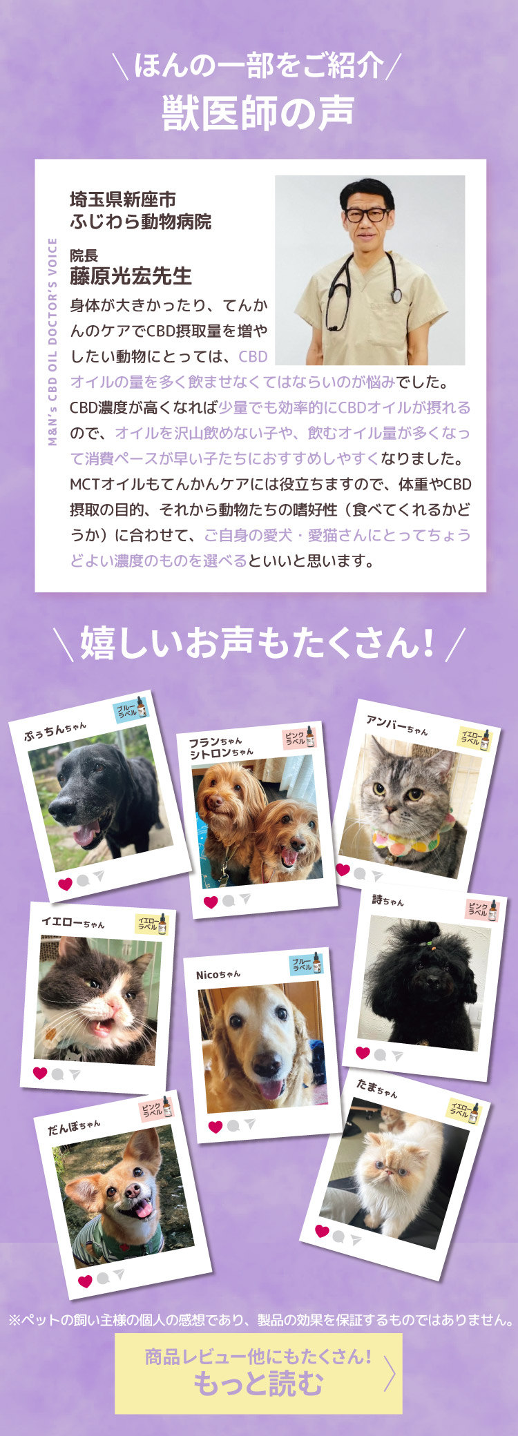 パープル みんなのお声 口コミ レビュー紹介 もっと読む